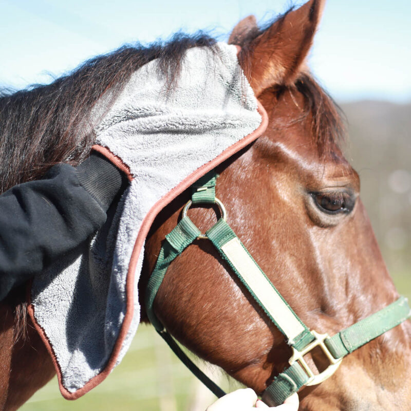 Ein Pferd wird an den Ohren mit dem Mikrofasertuch Grip Cut plush gereinigt